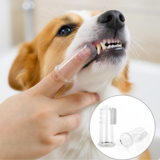 Revolutionary Soft Silicone Finger Toothbrush for Dogs and Cats - Eliminate Bad Breath and Tartar with Ease!