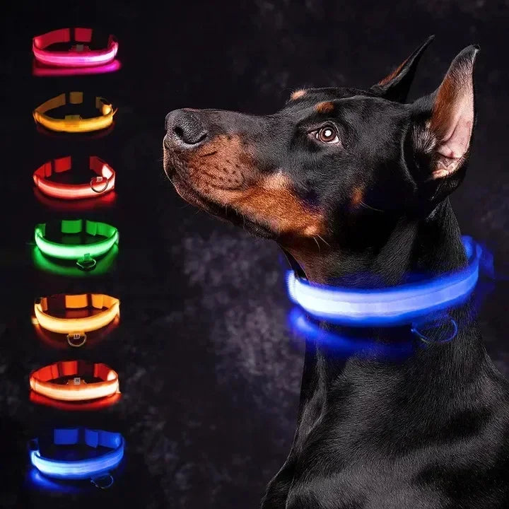 Illuminate Your Dog's Safety with the Adjustable LED Glowing Dog Collar - Rechargeable, Flashing, and Perfect for Nighttime Adventures!