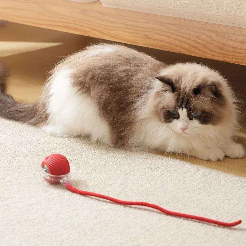 1~3Pcs Cat Interactive Ball Toy Automatic Rolling Ball Tail Rechargeable Smart Pet Electric Toy Dog Cat Training Imitate Mouse