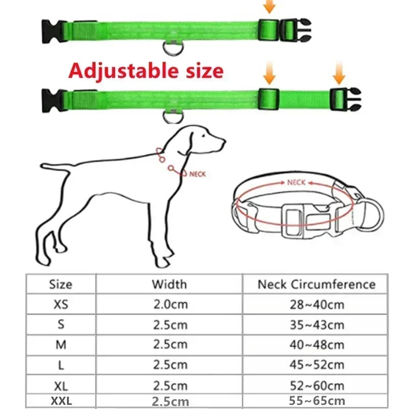 Illuminate Your Dog's Safety with the Adjustable LED Glowing Dog Collar - Rechargeable, Flashing, and Perfect for Nighttime Adventures!