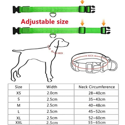 Illuminate Your Dog's Safety with the Adjustable LED Glowing Dog Collar - Rechargeable, Flashing, and Perfect for Nighttime Adventures!