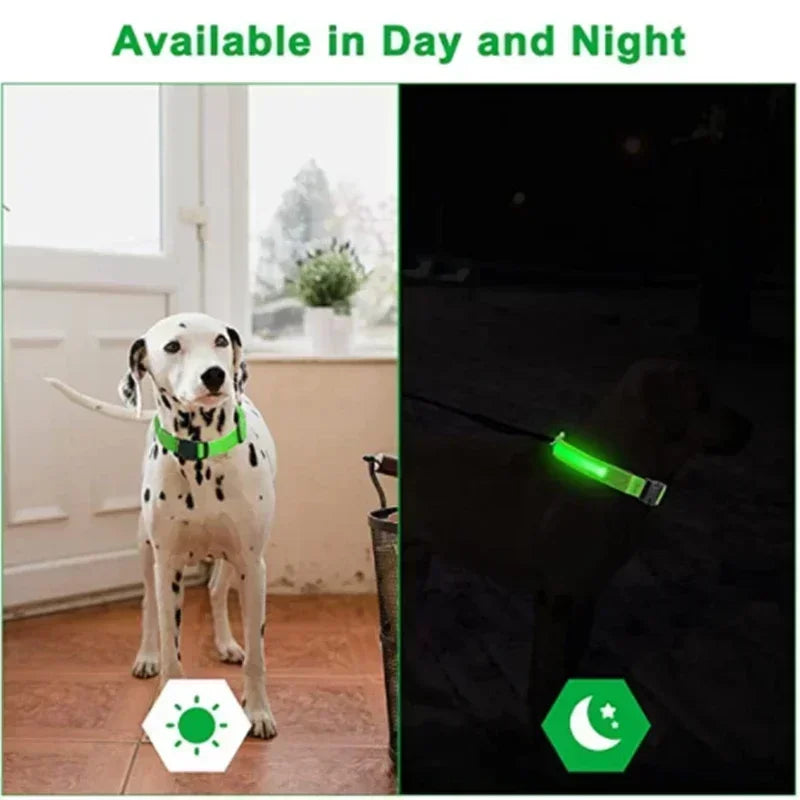 Illuminate Your Dog's Safety with the Adjustable LED Glowing Dog Collar - Rechargeable, Flashing, and Perfect for Nighttime Adventures!